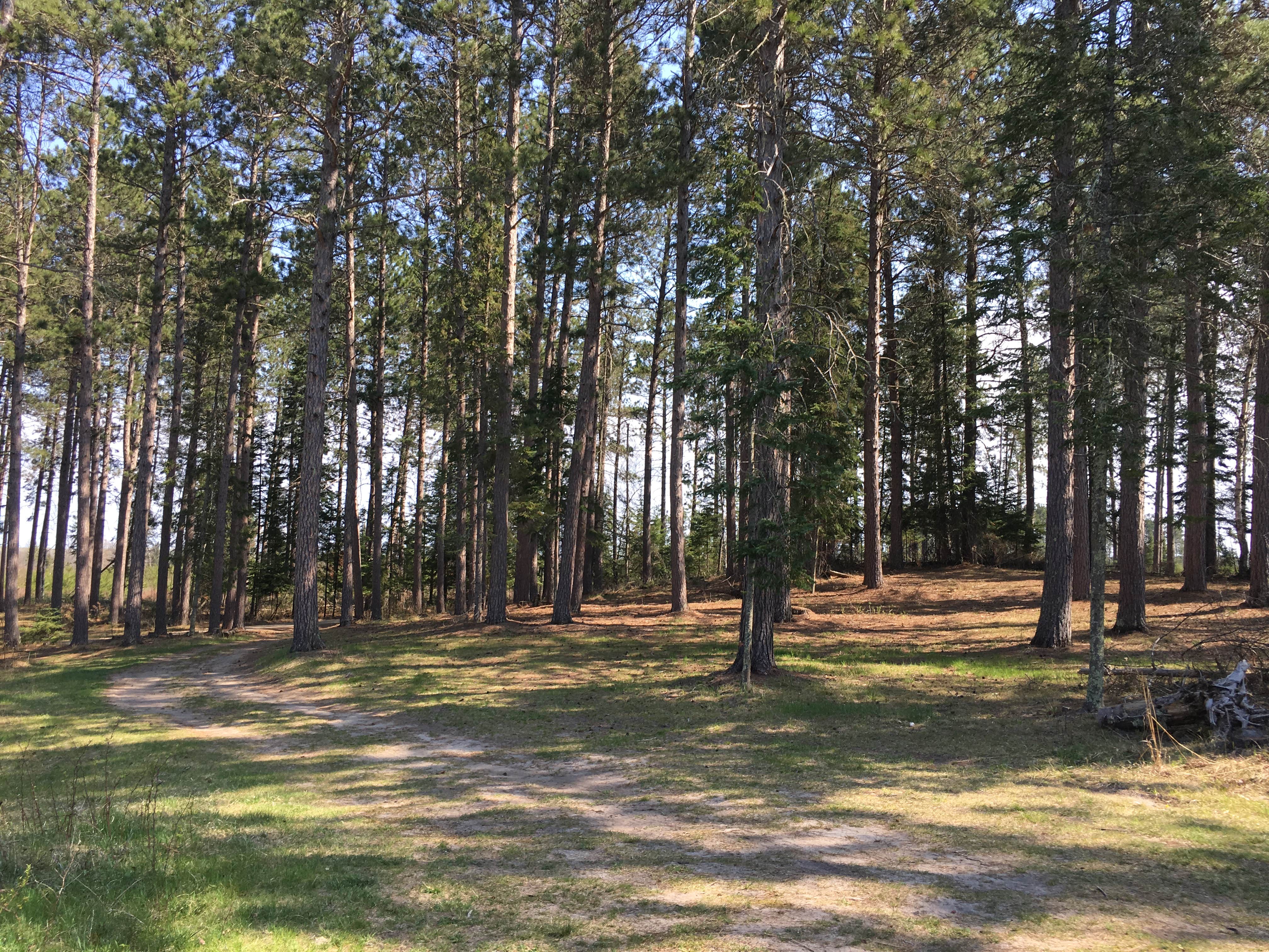 Camper-submitted photo at Stumphges Rapids Landing near Bemidji, MN