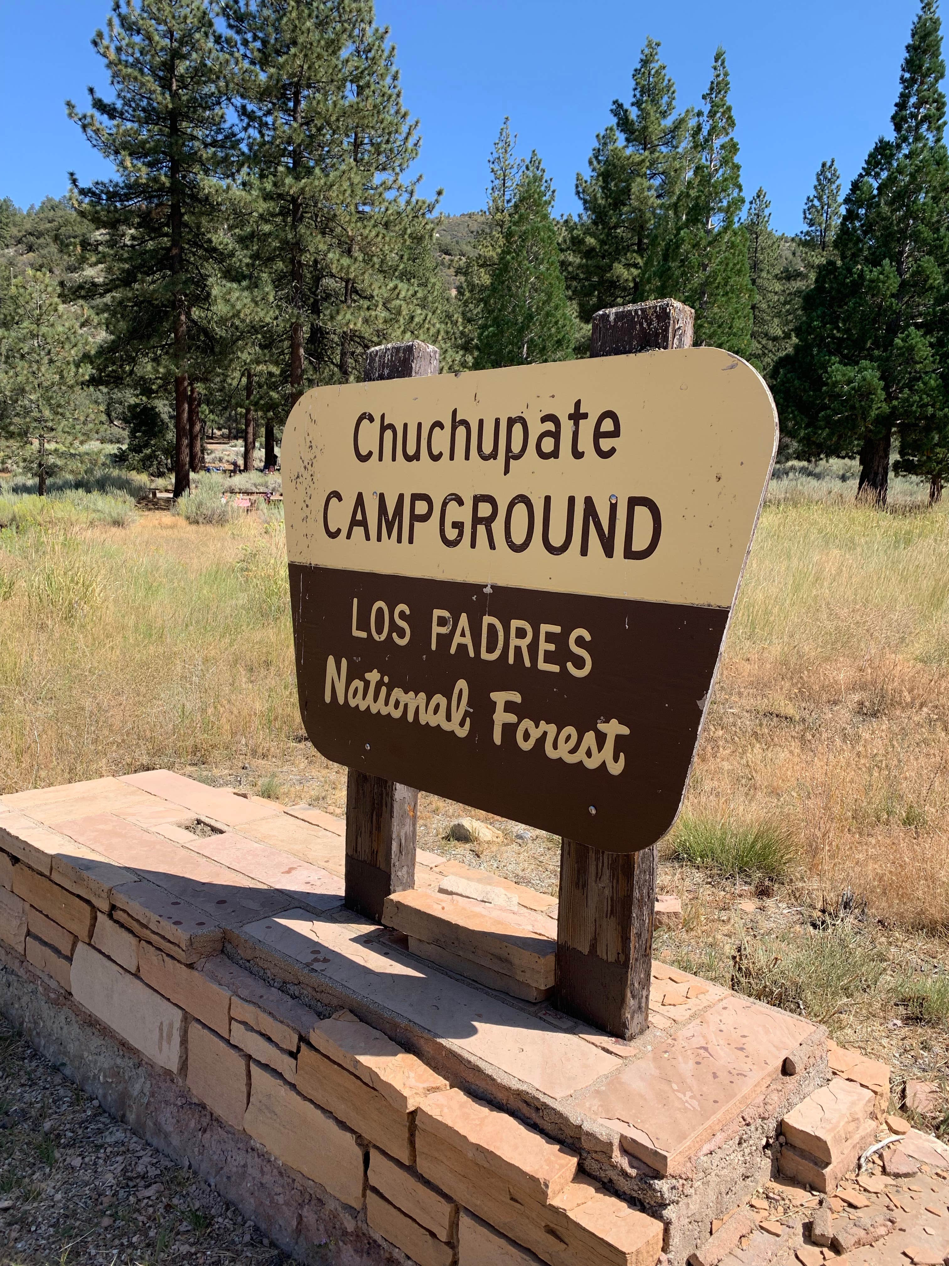 Camper submitted image from Chuchupate Campground - 4