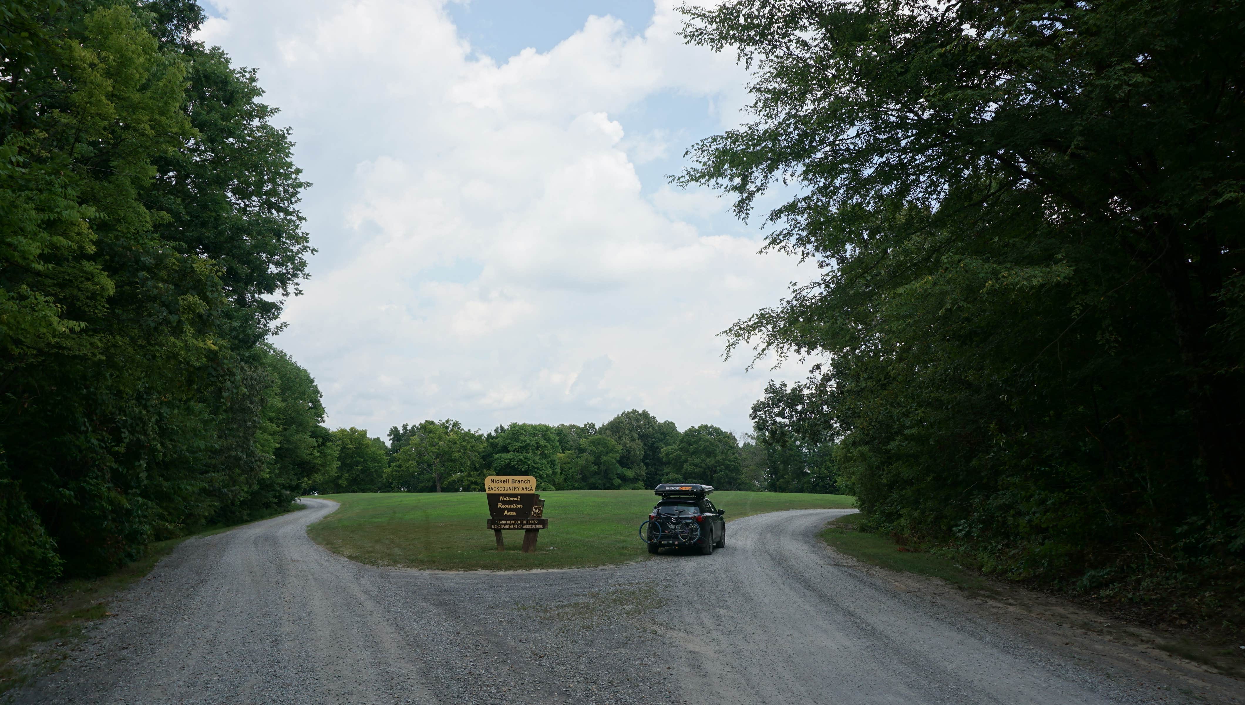 Camper submitted image from Nickell Branch Campground - 5