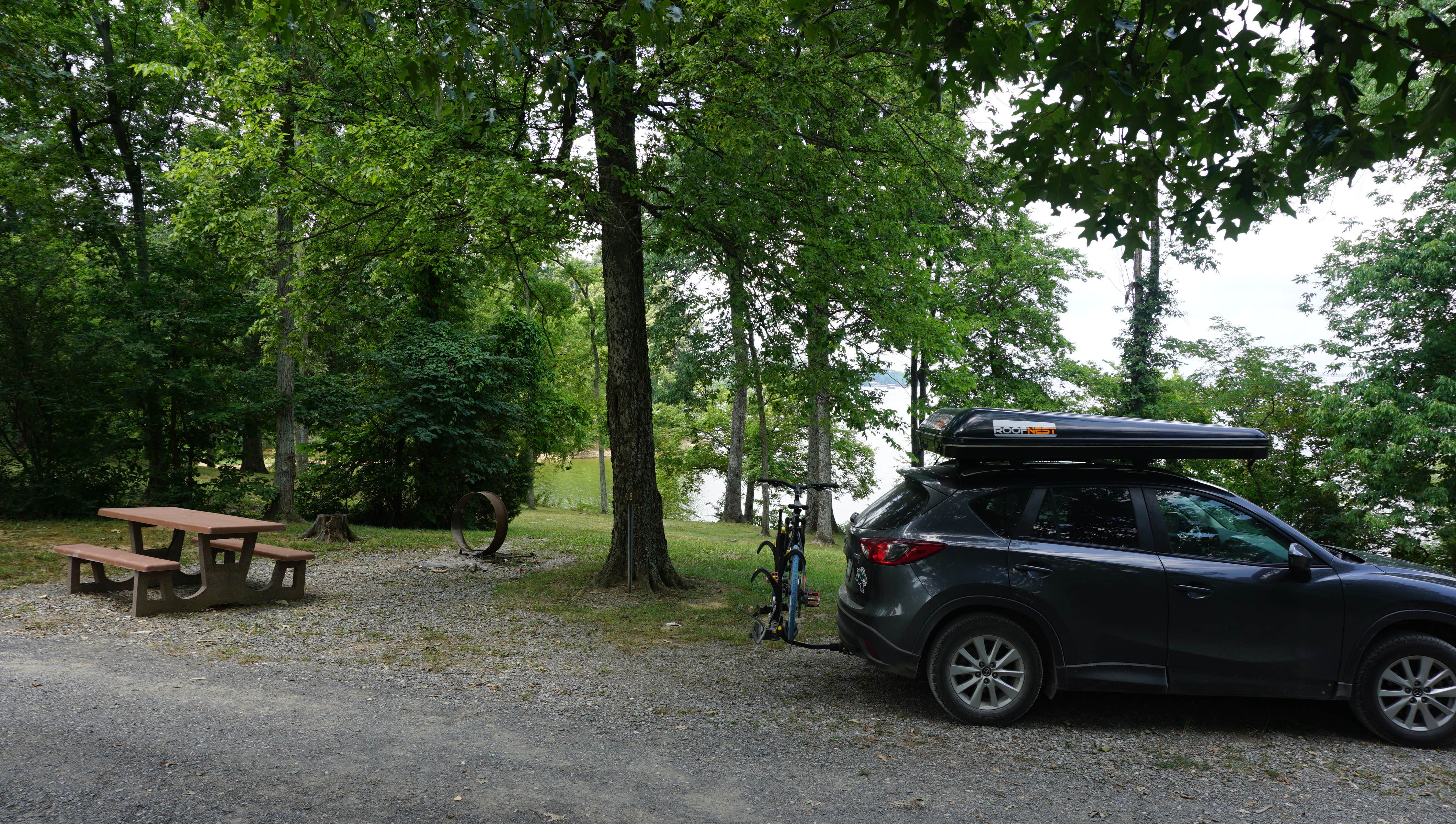 Camper submitted image from Nickell Branch Campground - 3