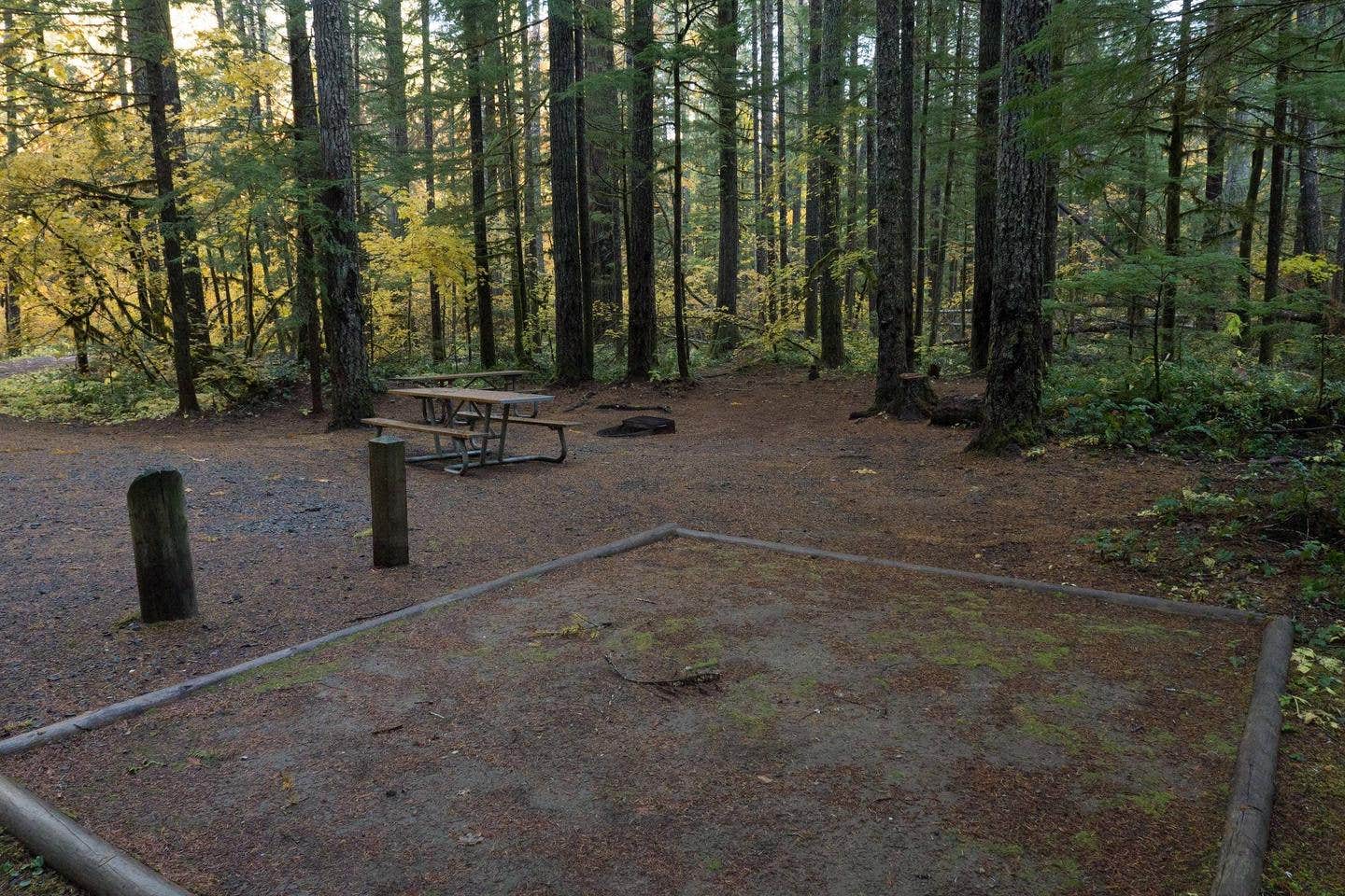 Panther Creek Campground | Carson, WA