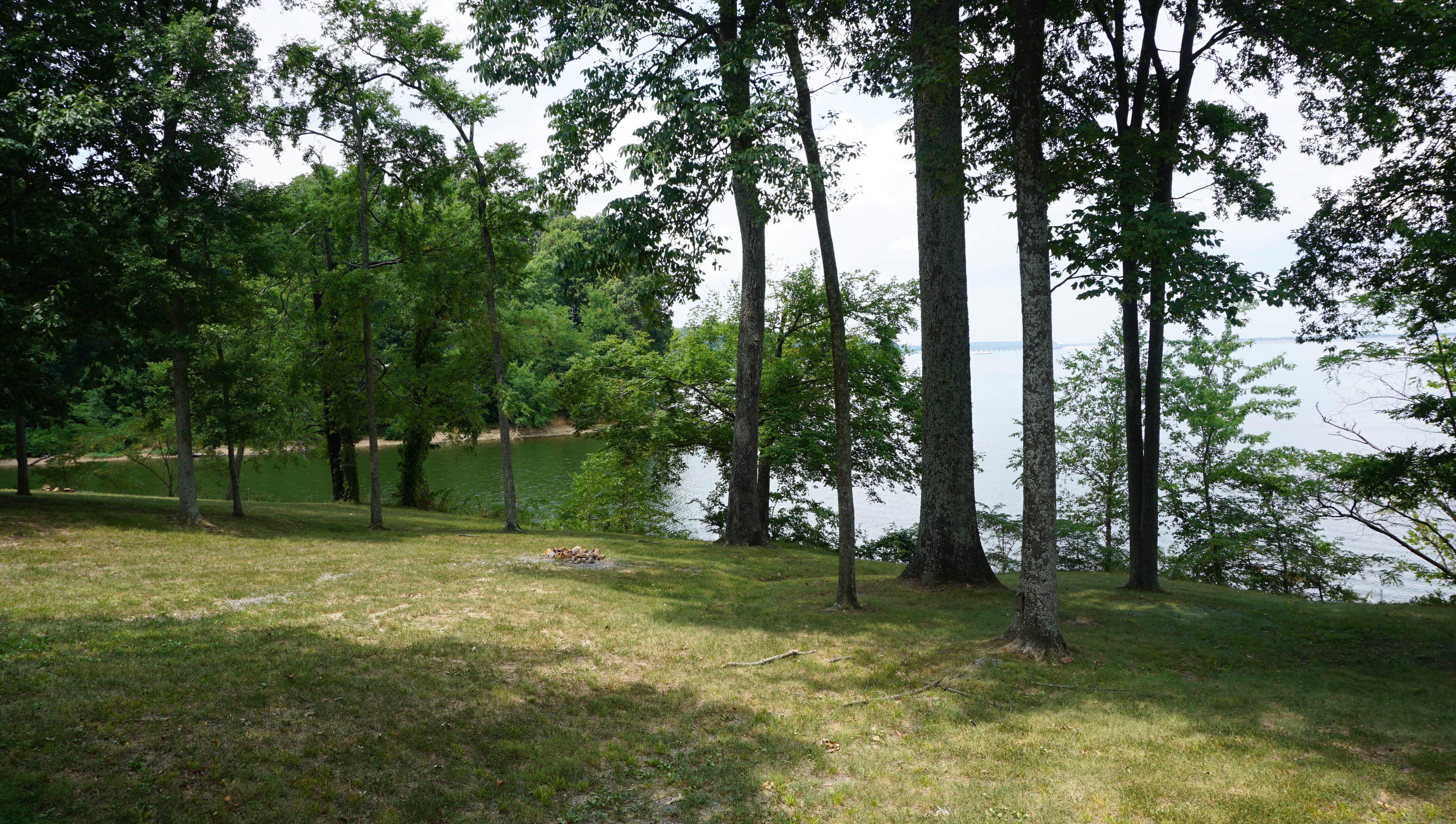 Camper submitted image from Nickell Branch Campground - 2