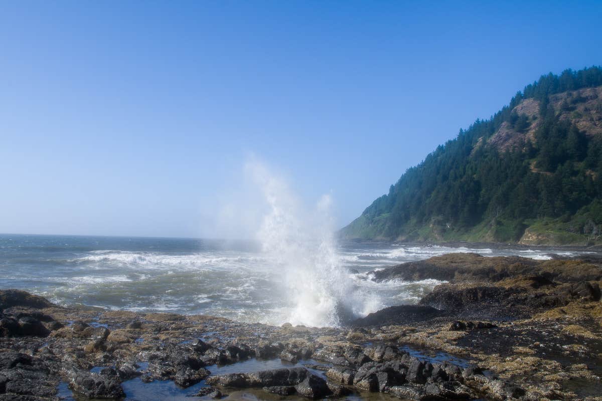 Camper submitted image from Cape Perpetua - 3