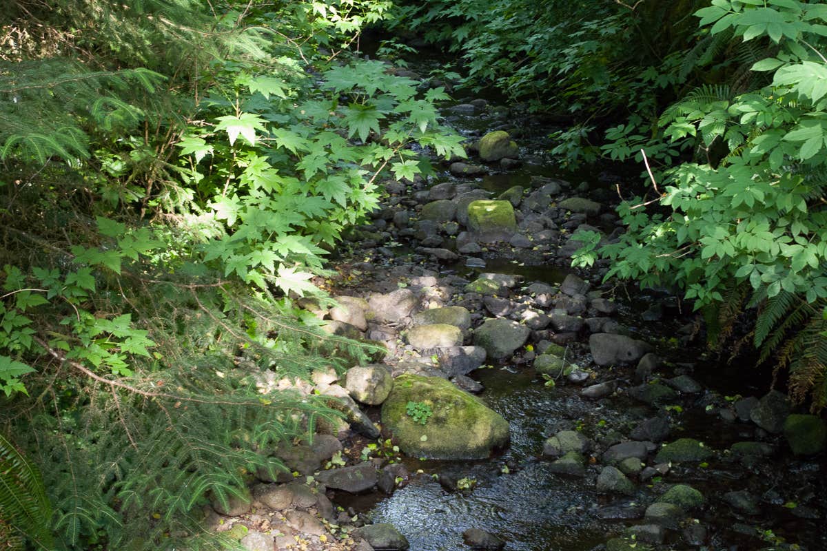 Nature