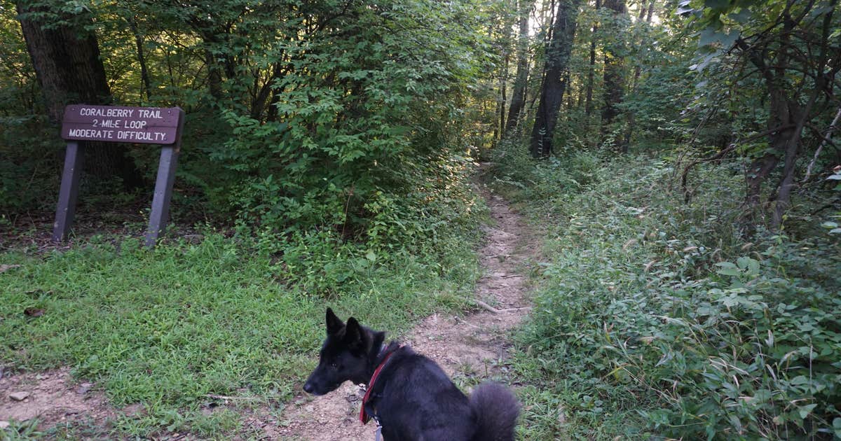 Big Bone Lick State Park Campground