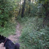Review photo of Big Bone Lick State Historic Site Campground by Daniel  B., August 5, 2017