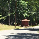 Review photo of Devils Elbow Recreation Area by Shelly S., August 5, 2017