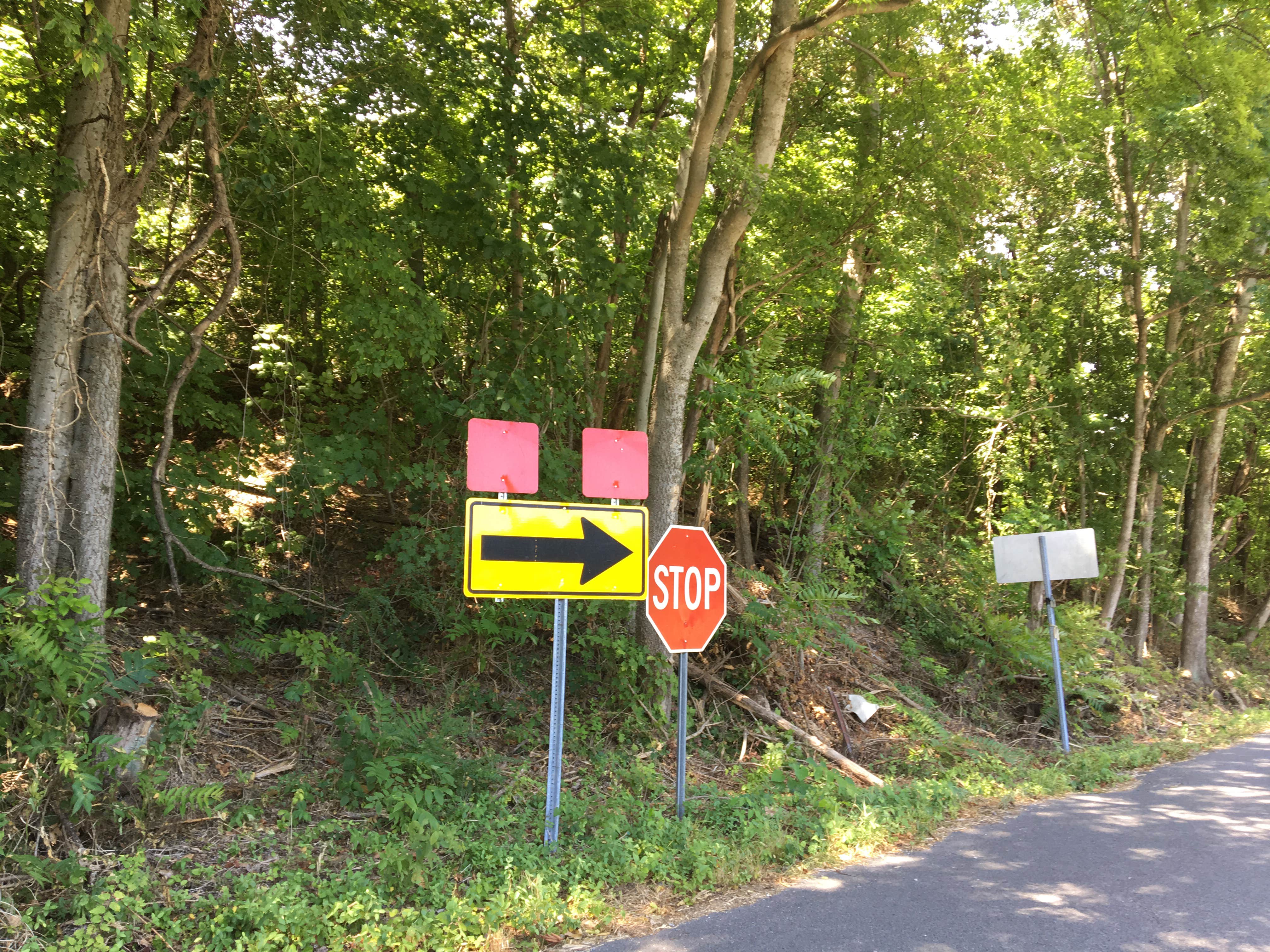 Camper submitted image from Devils Elbow Recreation Area - 3