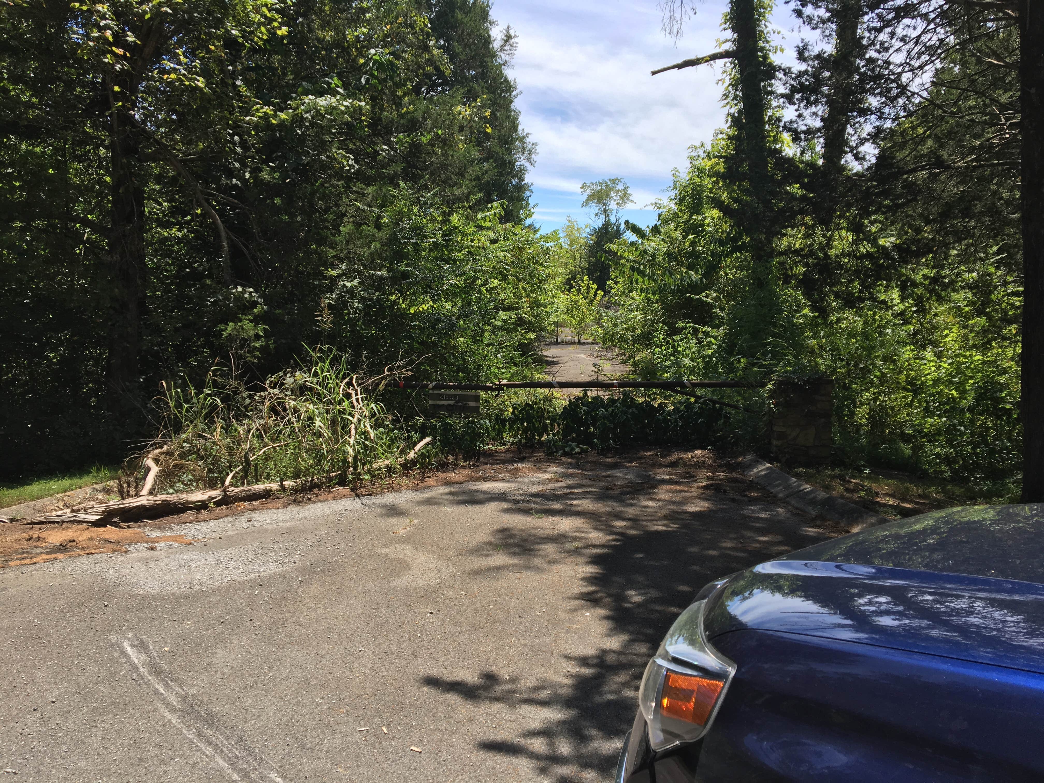 Camper submitted image from Devils Elbow Recreation Area - 2