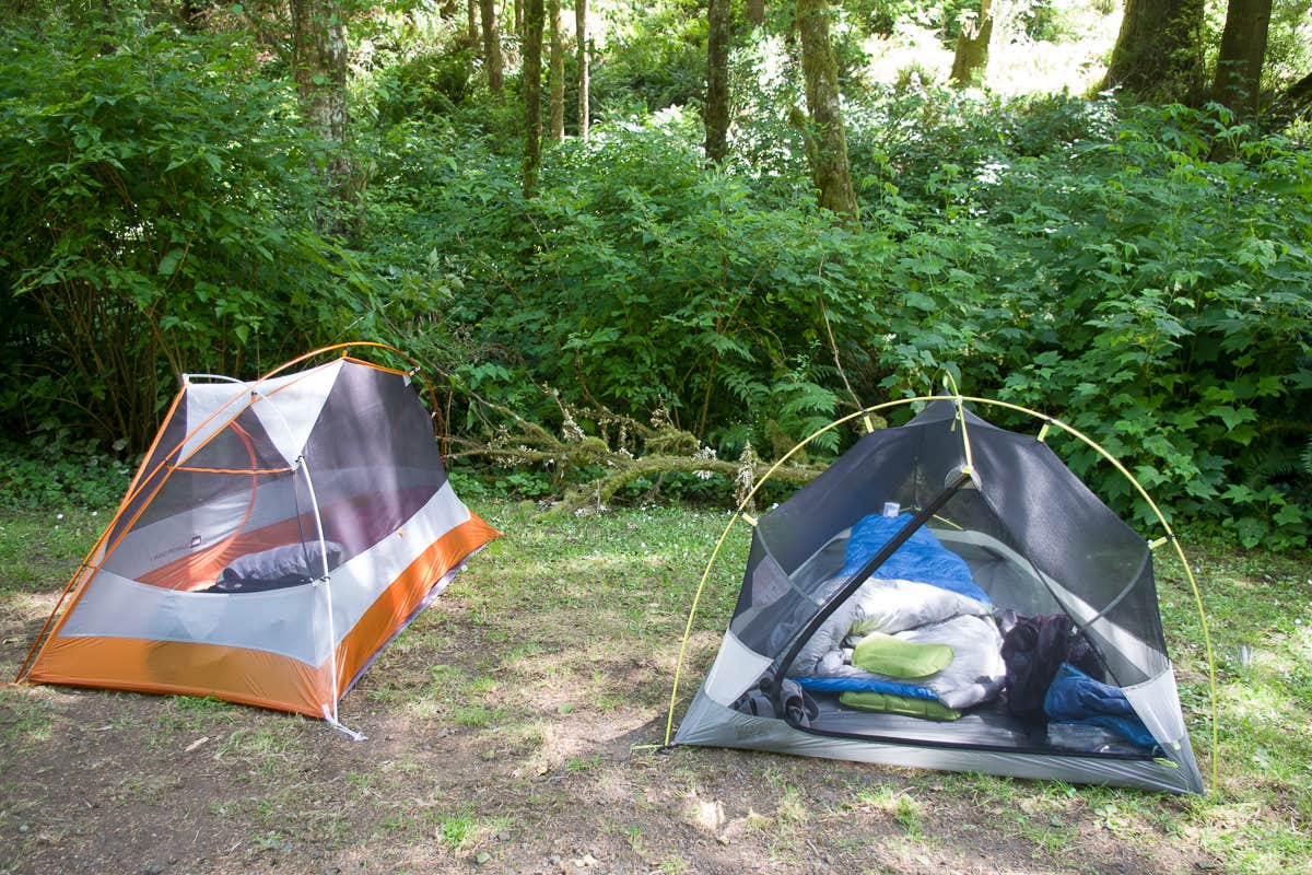 Camper submitted image from Cape Perpetua - 4