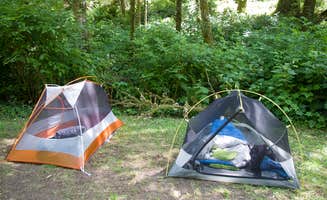 Lisa H.'s photo at Cape Perpetua near Waldport, OR