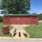 Review photo of Linton by Shelly S., August 5, 2017