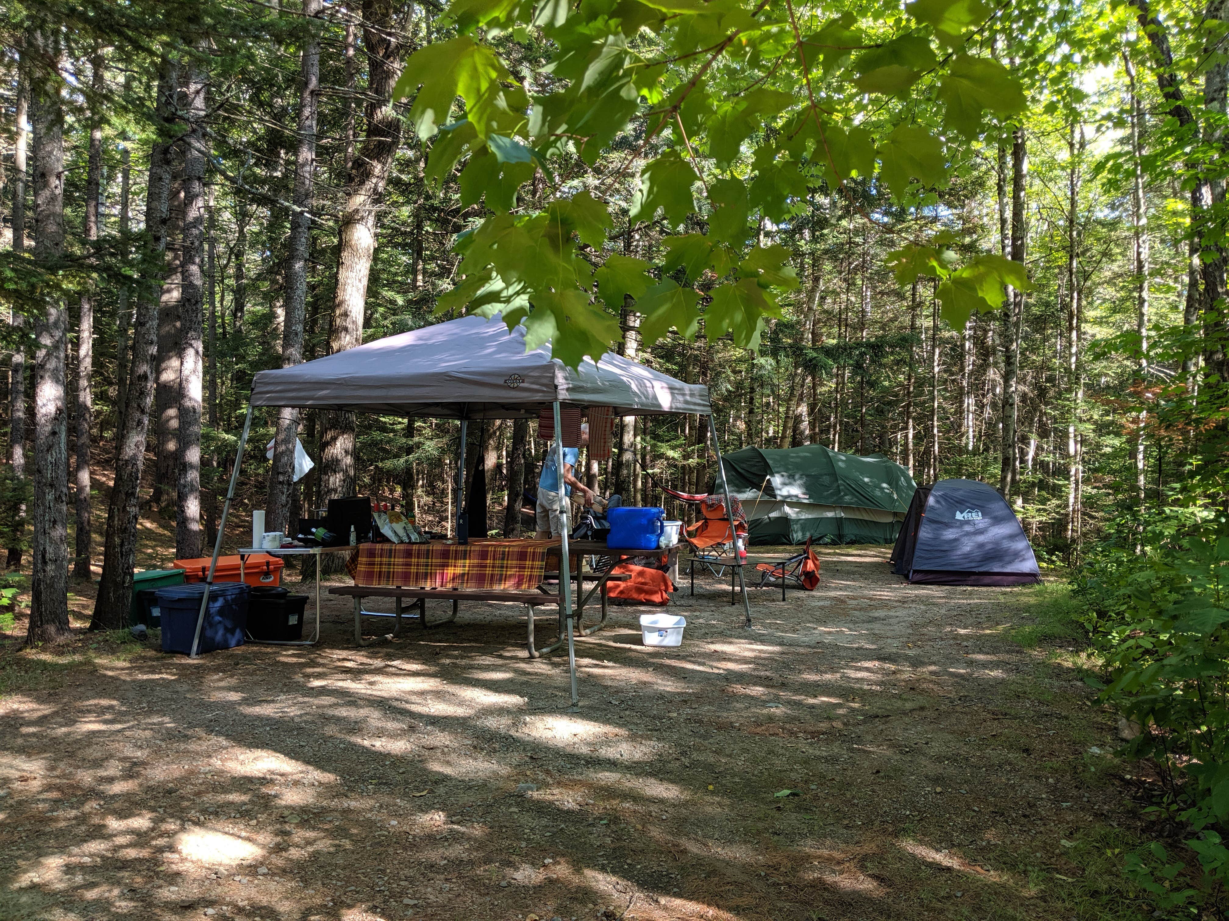 Florence S.'s photo at Barnes Field Campground near Randolph, NH