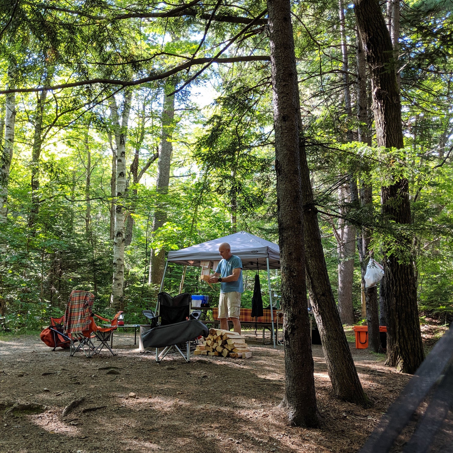 Barnes Field Campground | The Dyrt