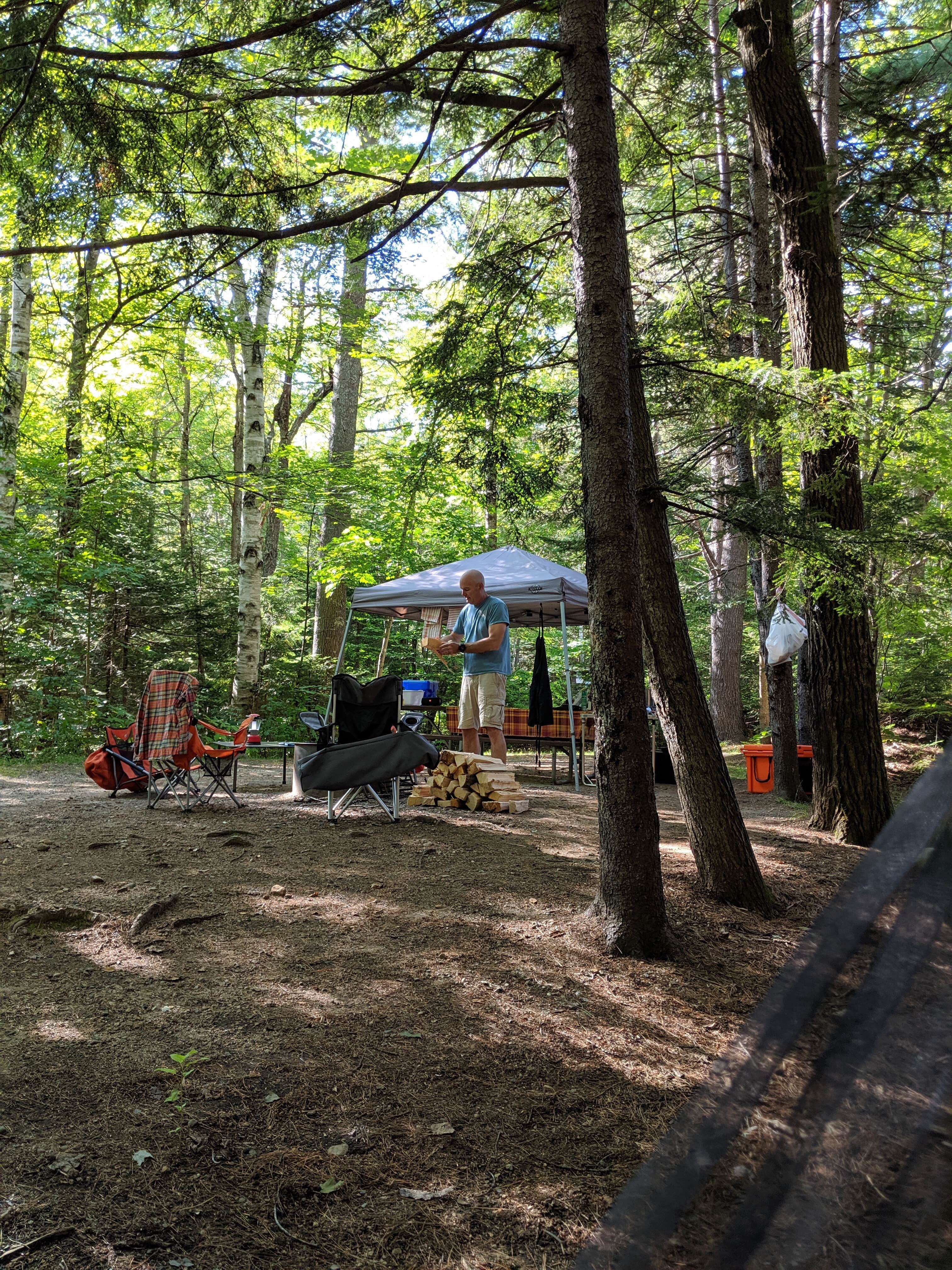 Escape To Nature: Your Guide To Barnes Field Camping Area, NH