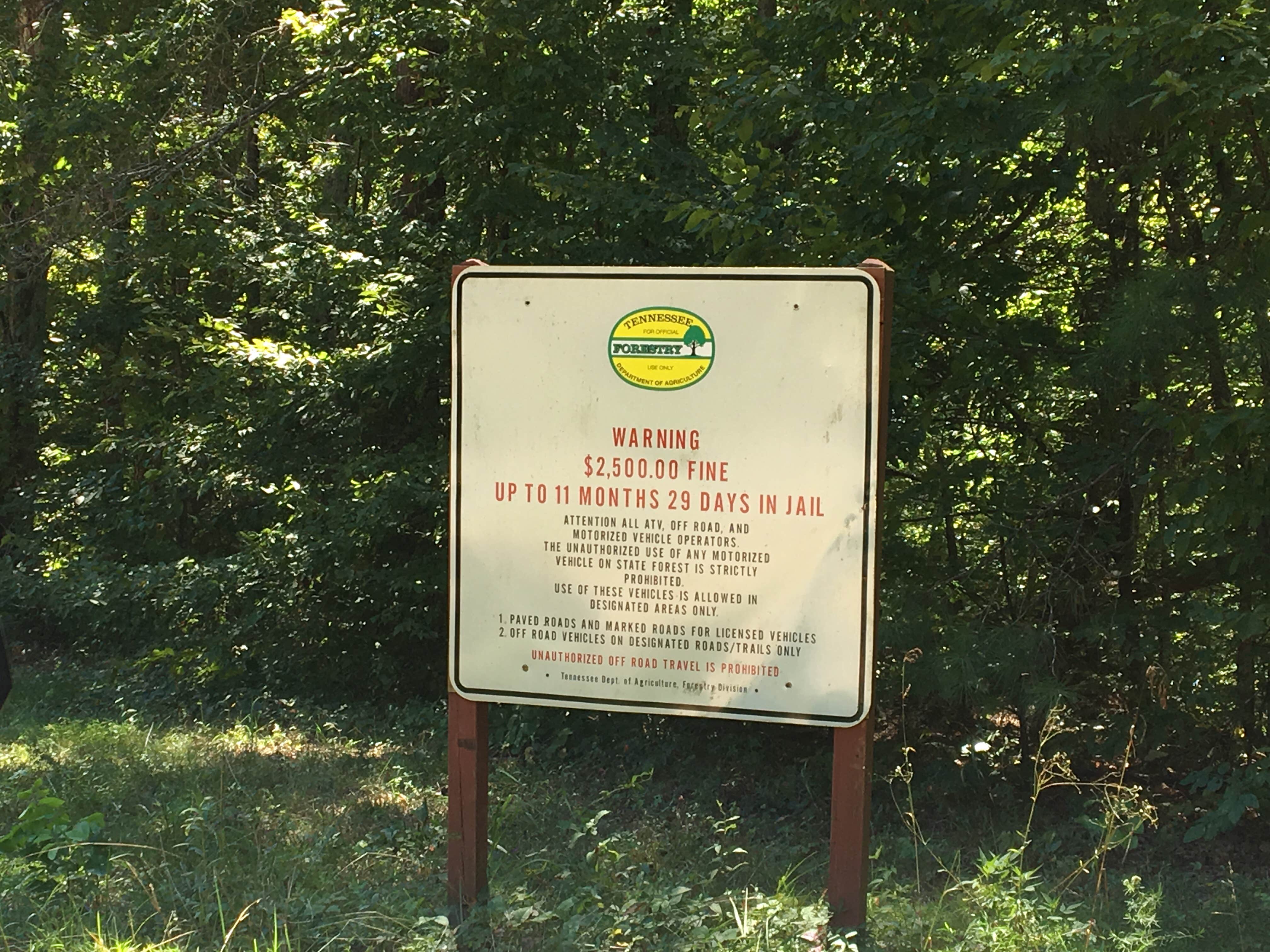 Camper-submitted photo at Stewart State Forest near Eva, TN