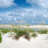 Review photo of Dr. Julian G. Bruce St. George Island State Park Campground by Perry J., September 6, 2019