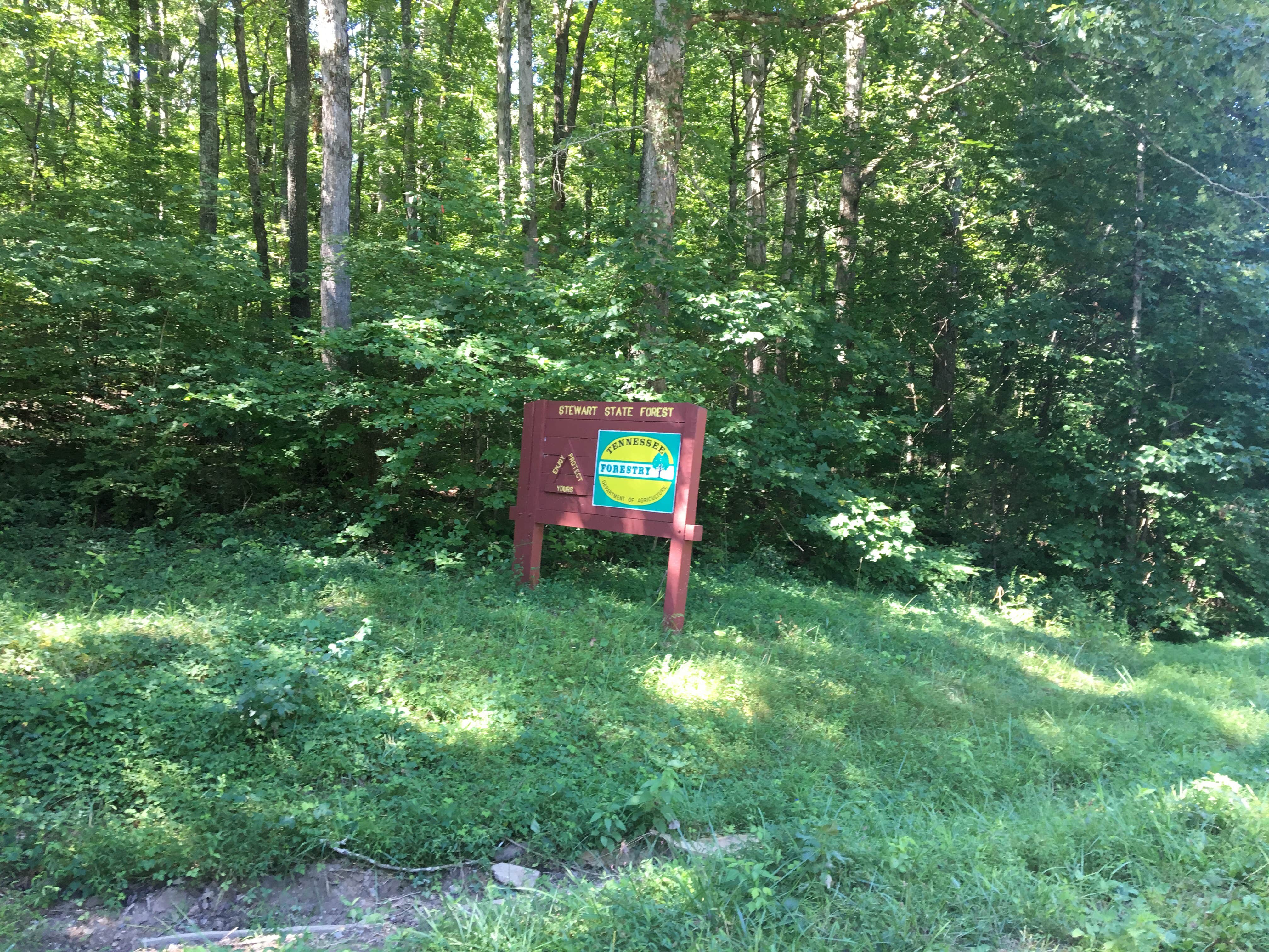 Camper-submitted photo at Stewart State Forest near Eva, TN