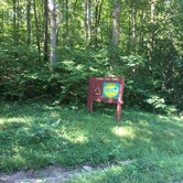 Review photo of Stewart State Forest by Shelly S., August 5, 2017