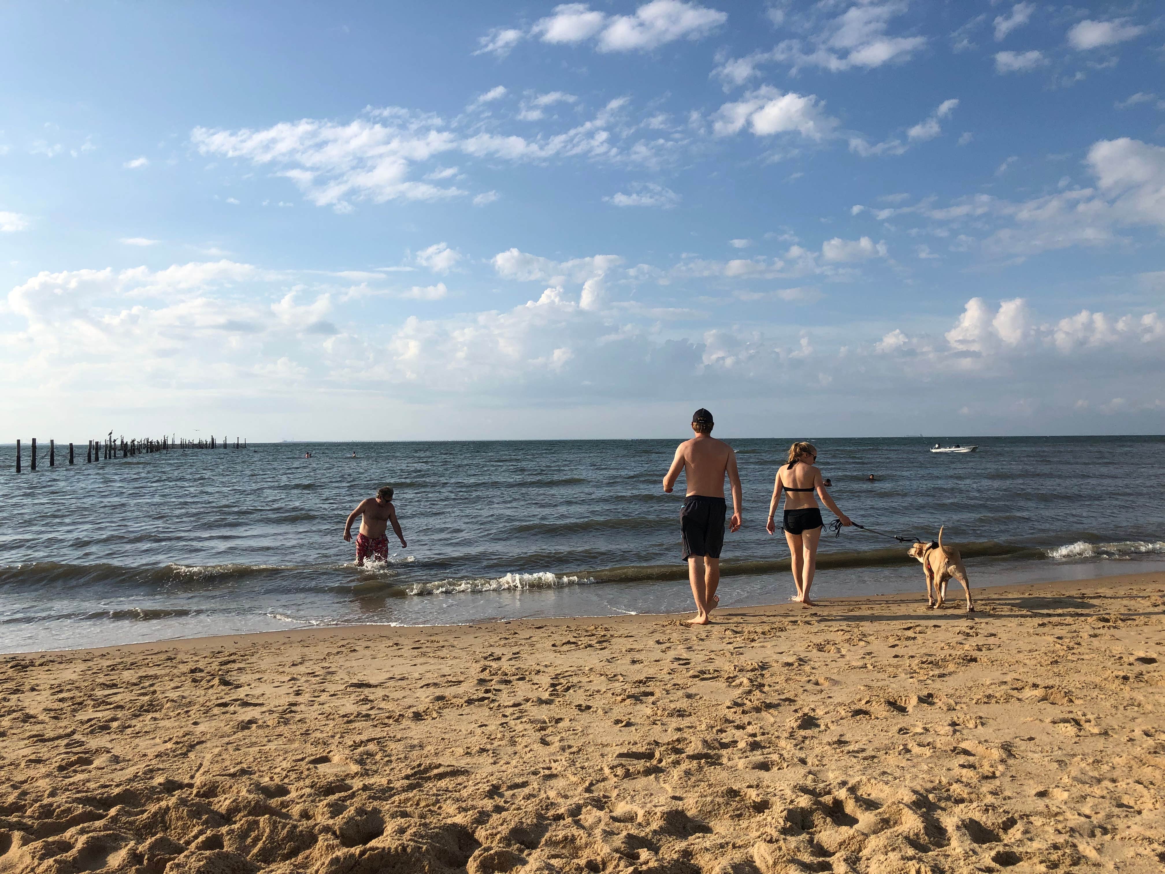 RL's photo of camping with pets at First Landing State Park Campground near Newport News, VA