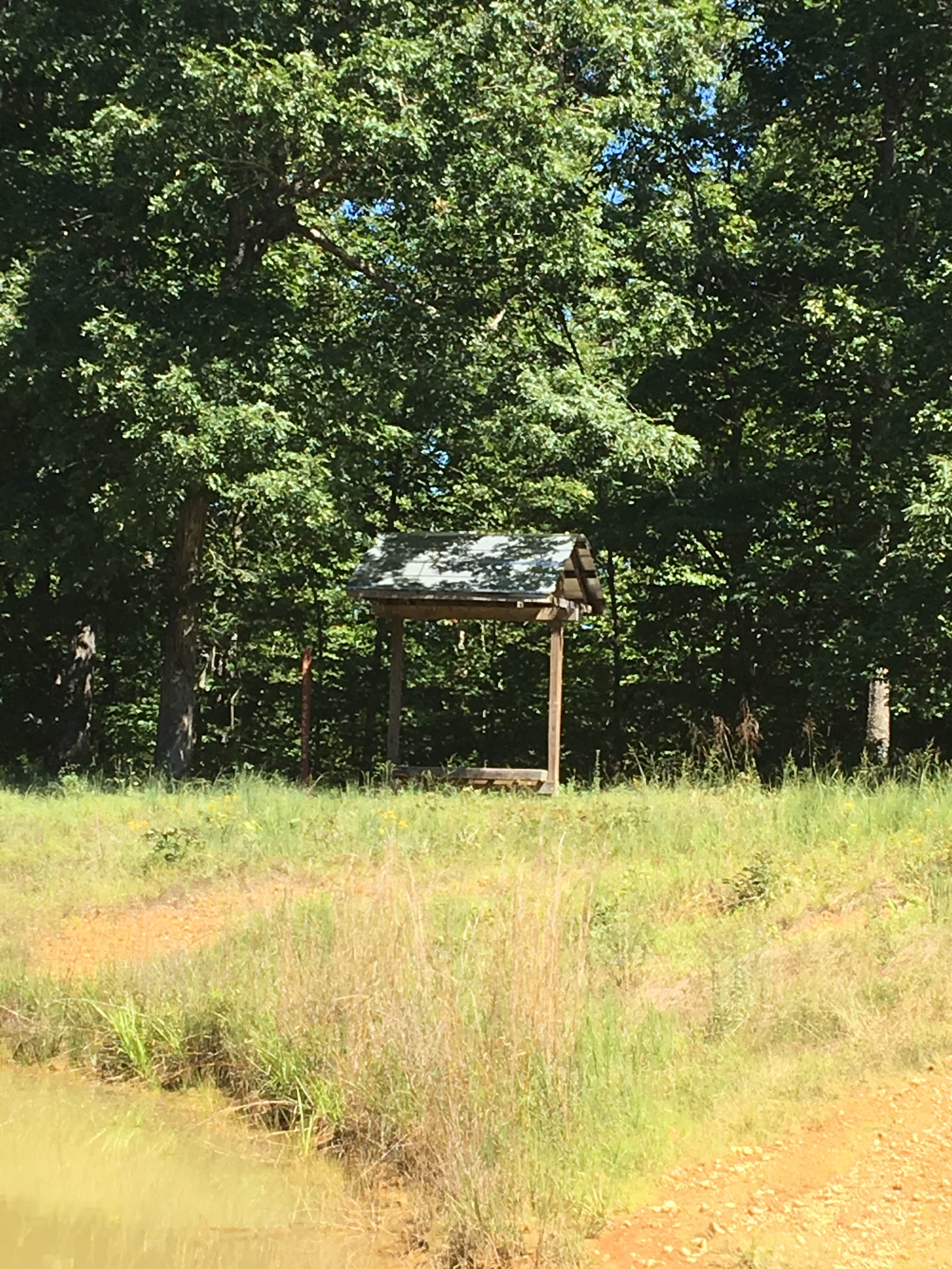 Camper-submitted photo at Stewart State Forest near Eva, TN