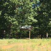 Review photo of Stewart State Forest by Shelly S., August 5, 2017