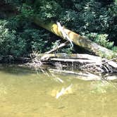 Review photo of Abrams Creek Campground — Great Smoky Mountains National Park by Gary S., September 6, 2019