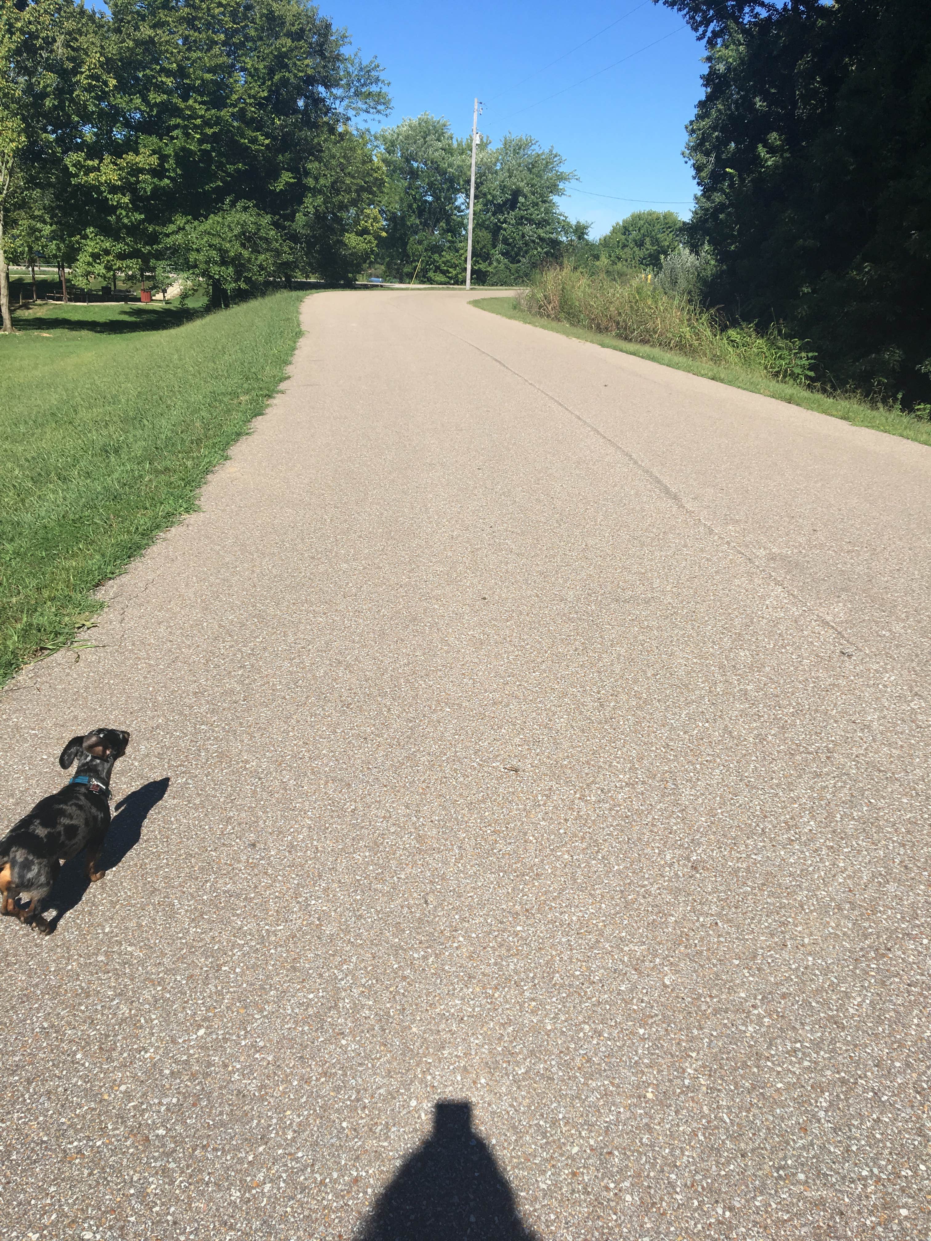Camper submitted image from Dyers Creek - 5