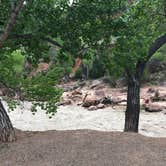 Review photo of Zion Canyon Campground by Bari B., September 6, 2019