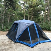 Review photo of Charge Pond Campground — Myles Standish State Forest by Ashlee L., August 19, 2019