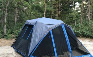 Ashlee L.'s photo at Charge Pond Campground — Myles Standish State Forest near North Falmouth, MA