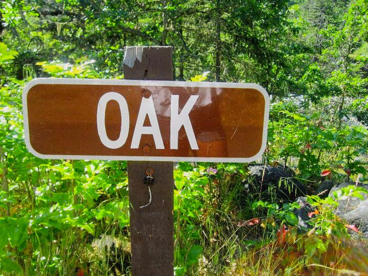 Camper submitted image from Tucker Park Campground - 5