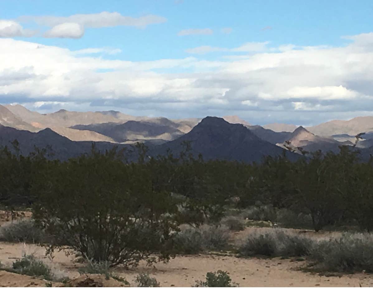 Camper-submitted photo at Wayside Oasis RV Park near Aguila, AZ