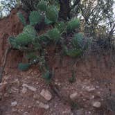 Review photo of Hackberry Campground — Palo Duro Canyon State Park by Kelly B., September 6, 2019