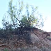 Review photo of Hackberry Campground — Palo Duro Canyon State Park by Kelly B., September 6, 2019