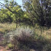 Review photo of Hackberry Campground — Palo Duro Canyon State Park by Kelly B., September 6, 2019