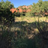 Review photo of Hackberry Campground — Palo Duro Canyon State Park by Kelly B., September 6, 2019