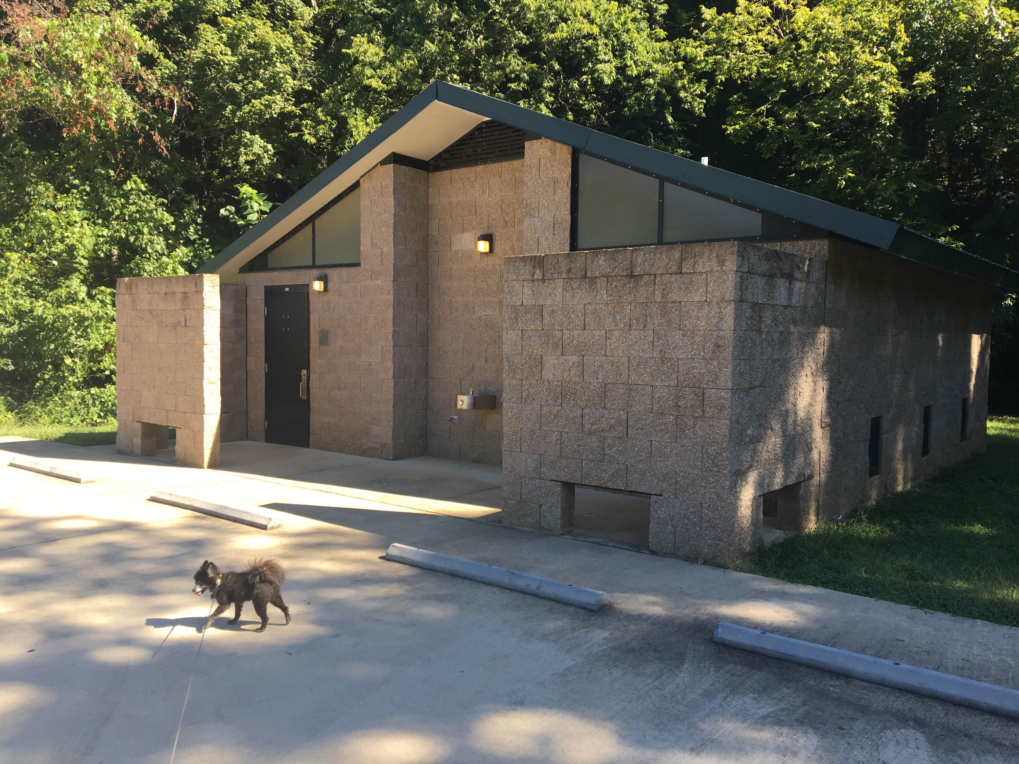 Shelly S.'s photo of camping with pets at Dyers Creek near Dover, TN