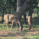 Review photo of Hackberry Campground — Palo Duro Canyon State Park by Kelly B., September 6, 2019