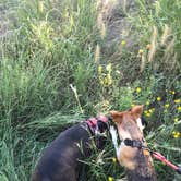 Review photo of Hackberry Campground — Palo Duro Canyon State Park by Kelly B., September 6, 2019