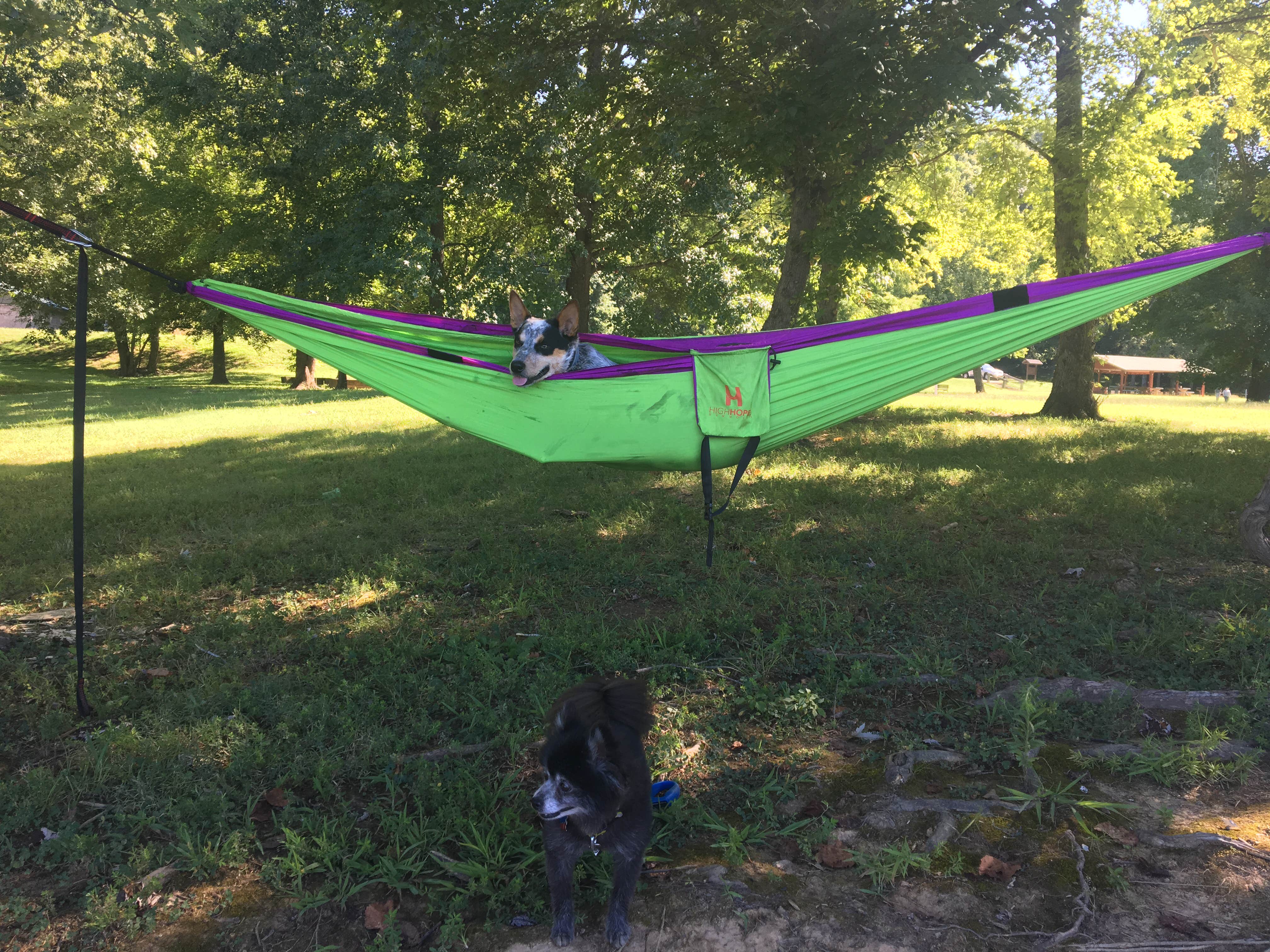 Camper submitted image from Dyers Creek - 4