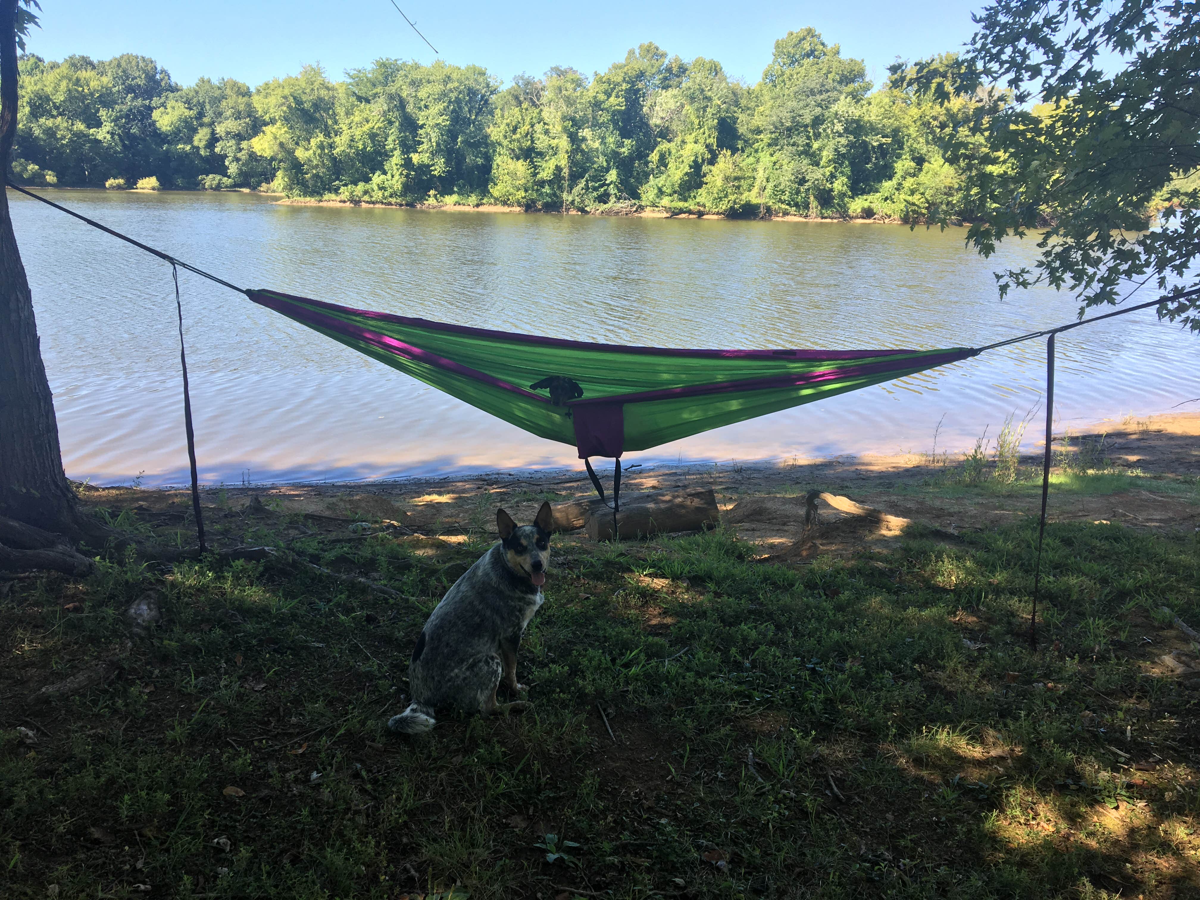 Camper submitted image from Dyers Creek - 3