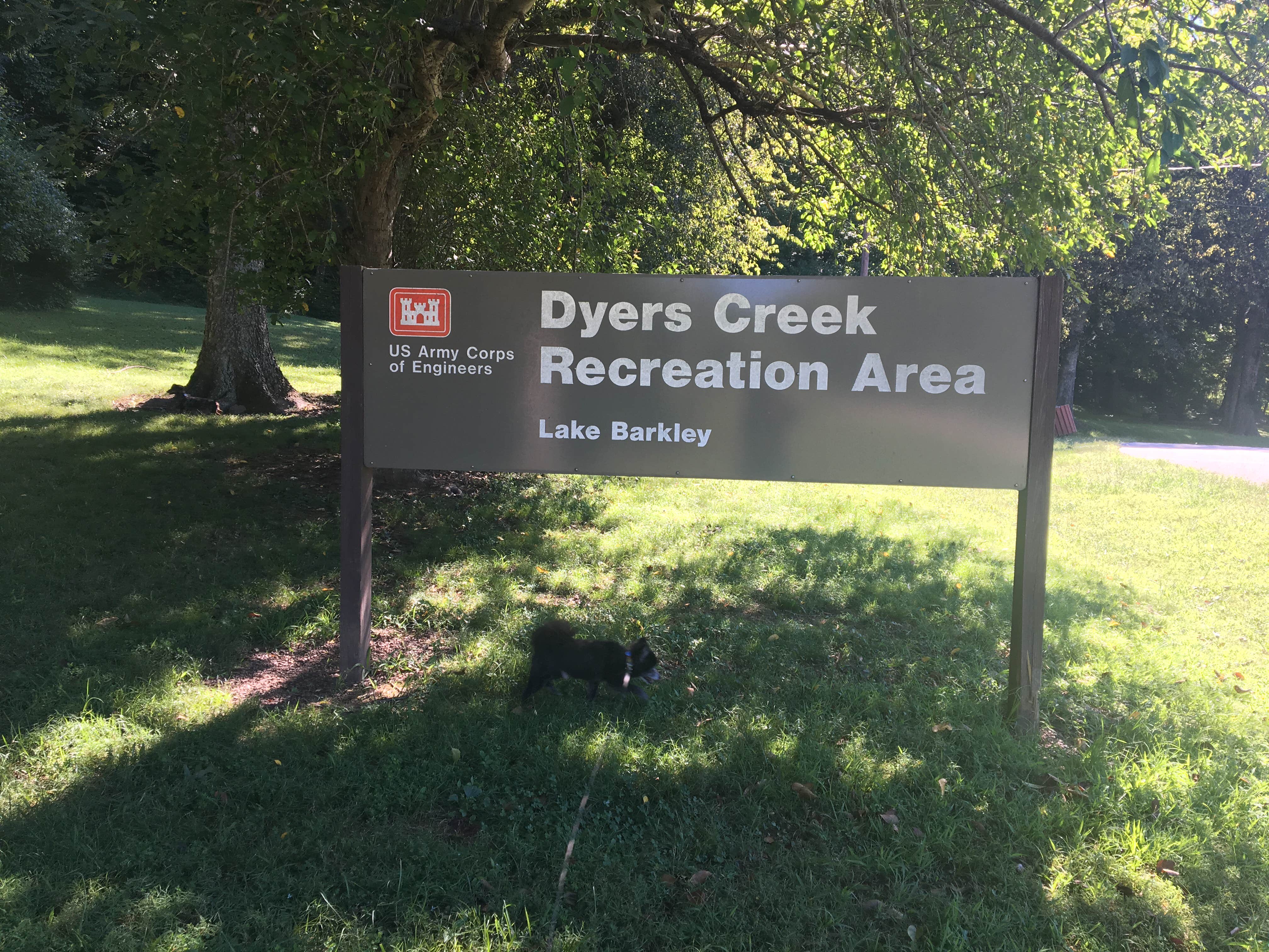 Signs & Maps