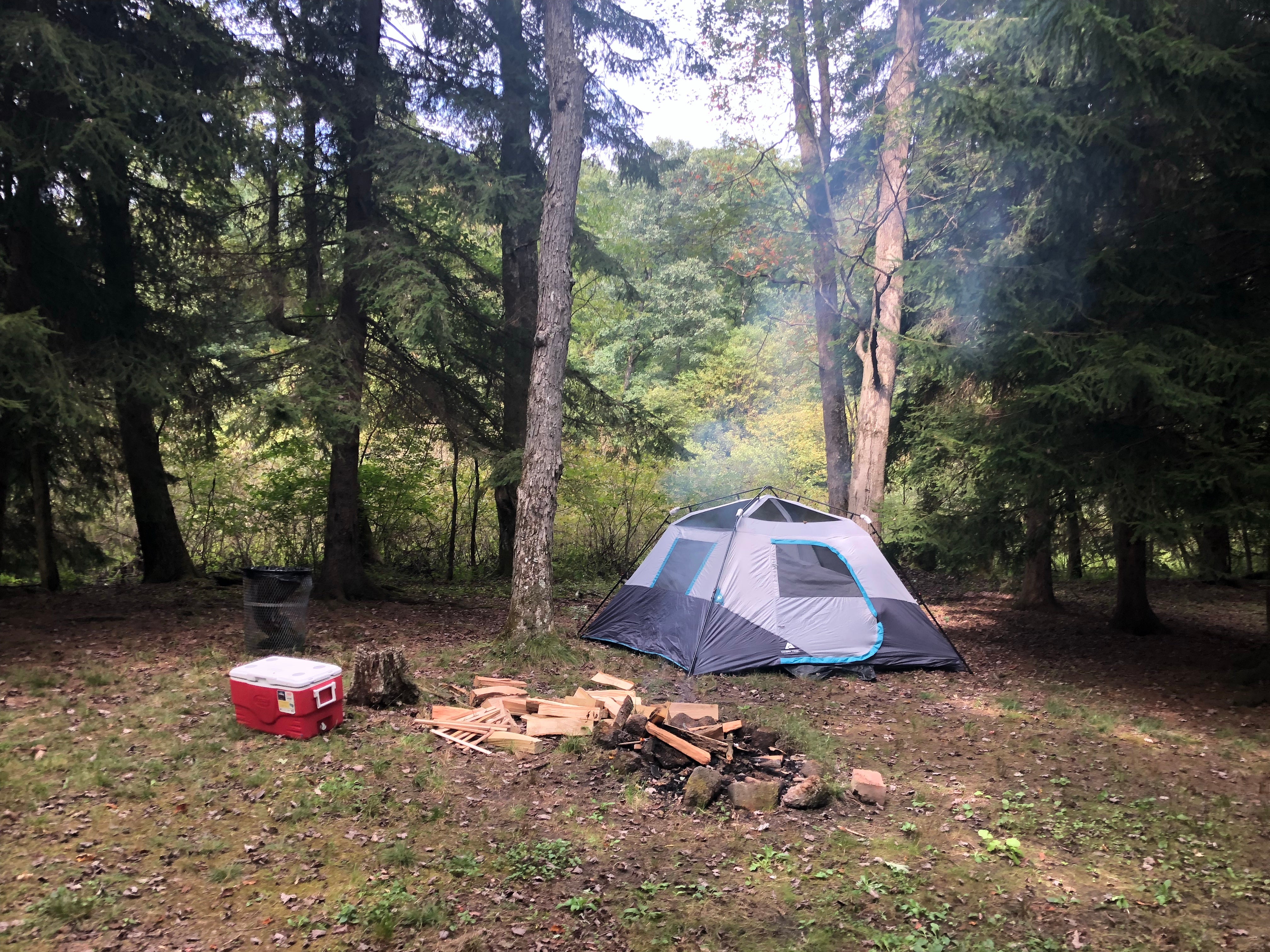 Camper submitted image from Tall Oaks Campground - 3