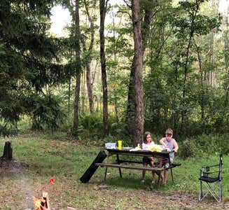 Camper-submitted photo from Tall Oaks Campground
