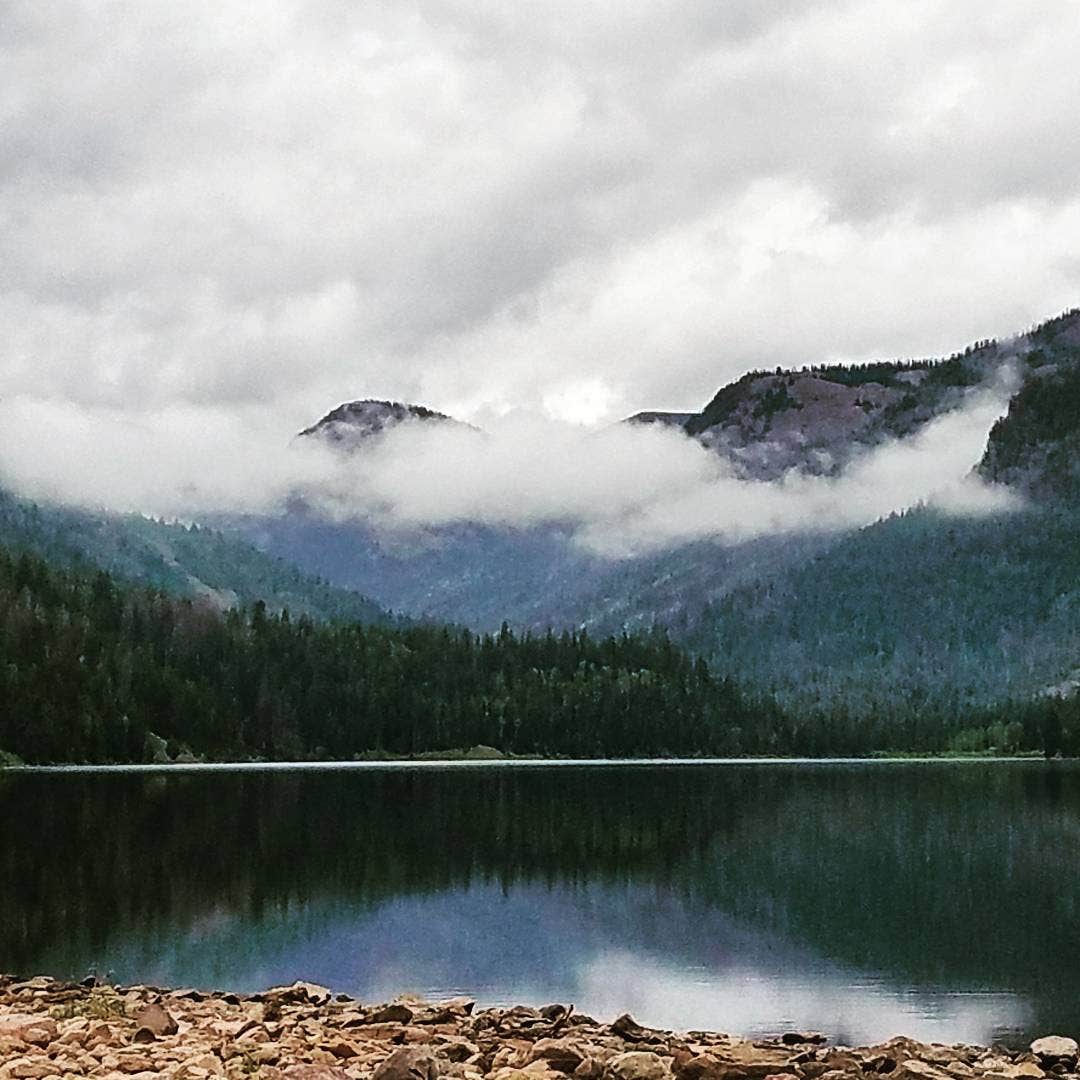 Camper submitted image from Ledgefork - Jordanelle State Park - 5