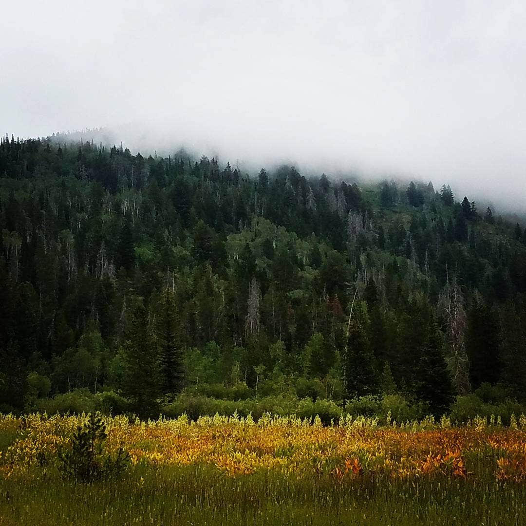 Camper submitted image from Ledgefork - Jordanelle State Park - 2