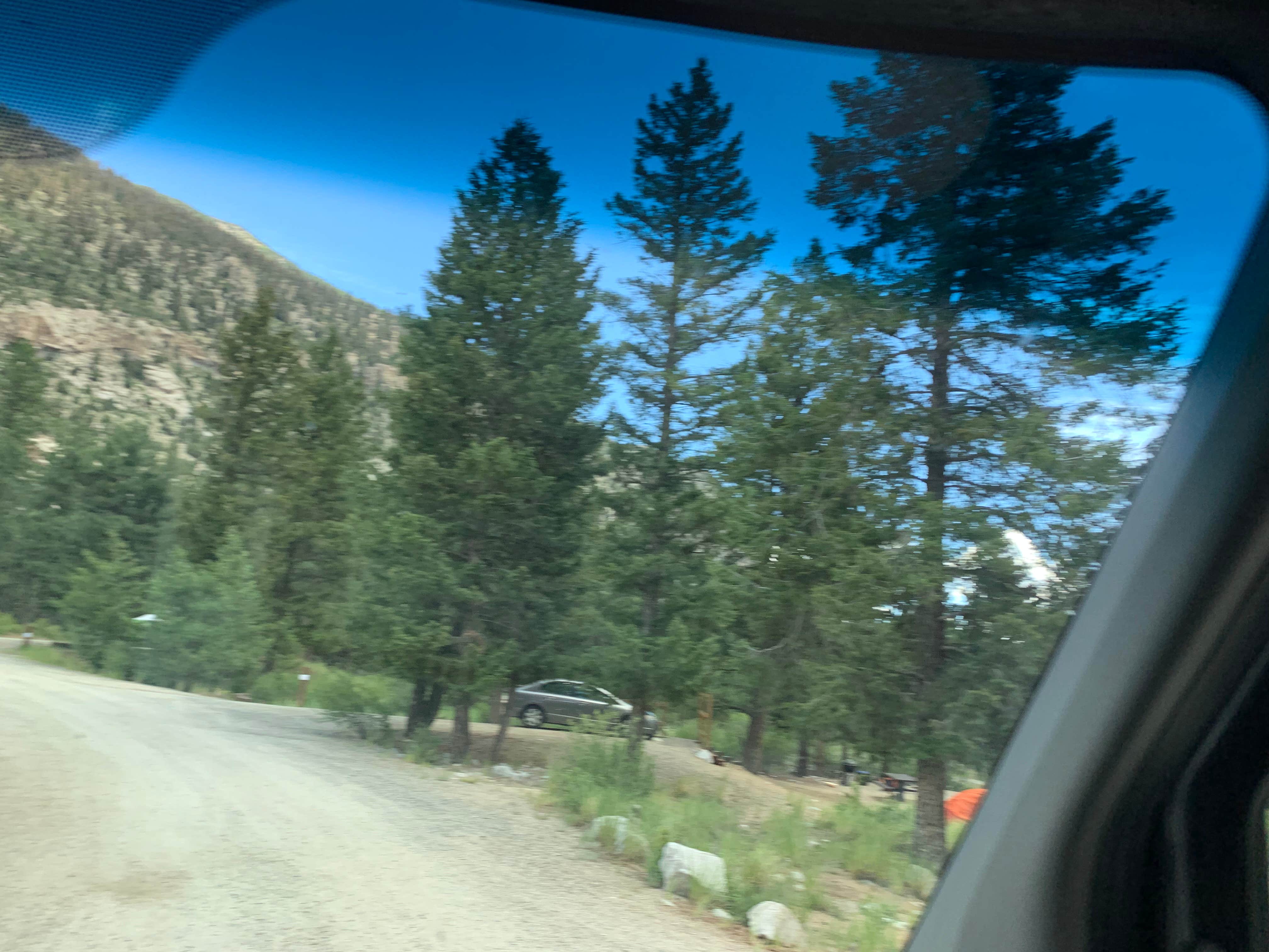 Camp Views