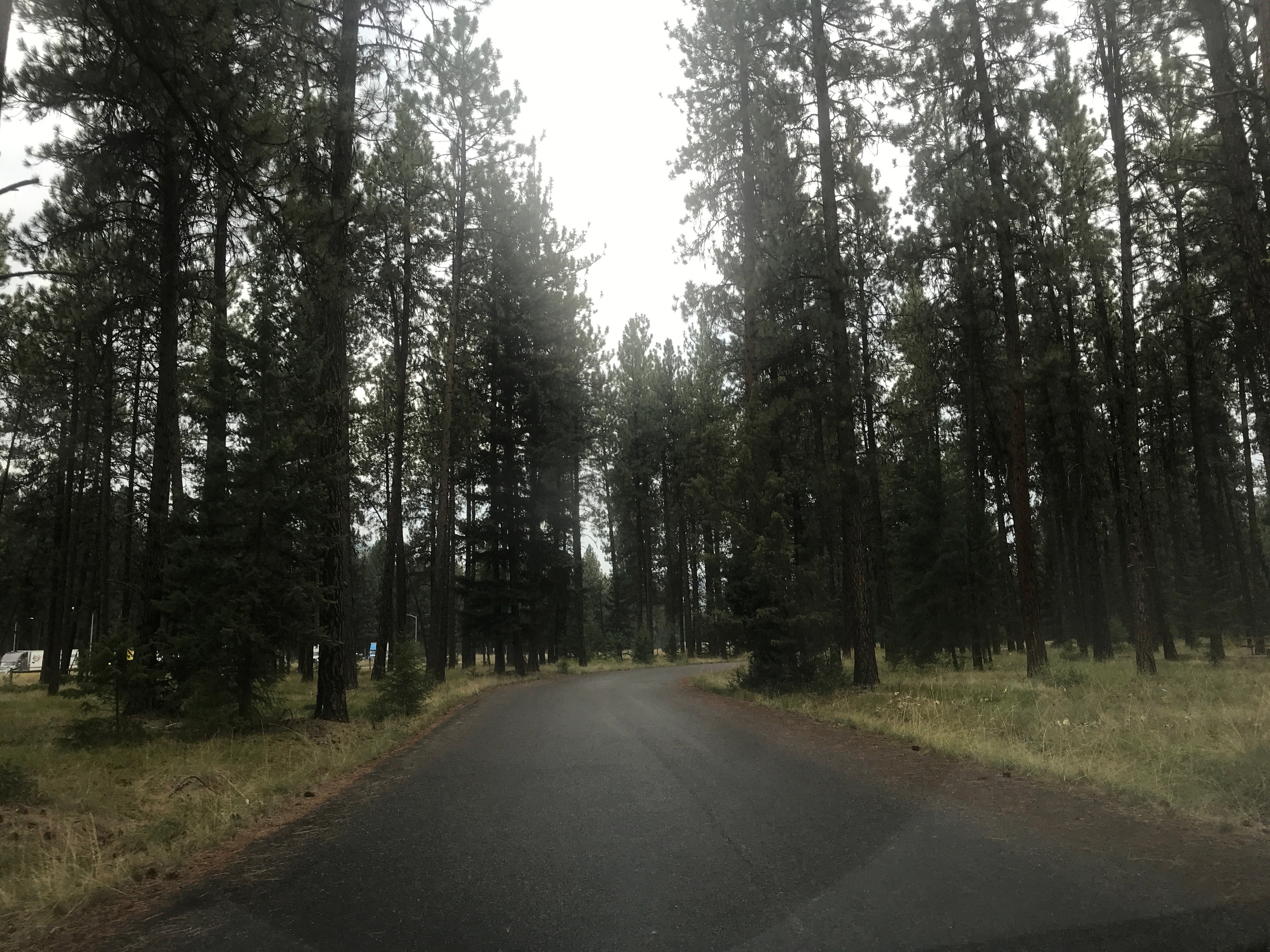 Camper submitted image from Quartz Flat Campground - 3
