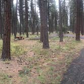 Review photo of Quartz Flat Campground by Crystal C., September 7, 2019